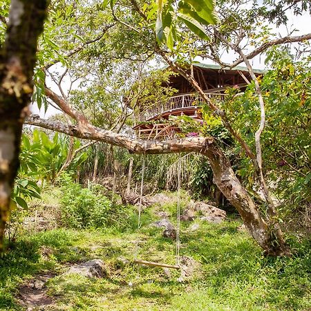 Ecofinca Fuente Alegre Cocorna Εξωτερικό φωτογραφία