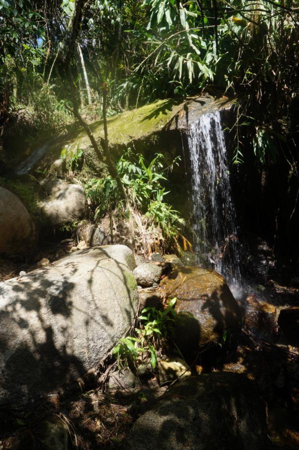 Ecofinca Fuente Alegre Cocorna Εξωτερικό φωτογραφία