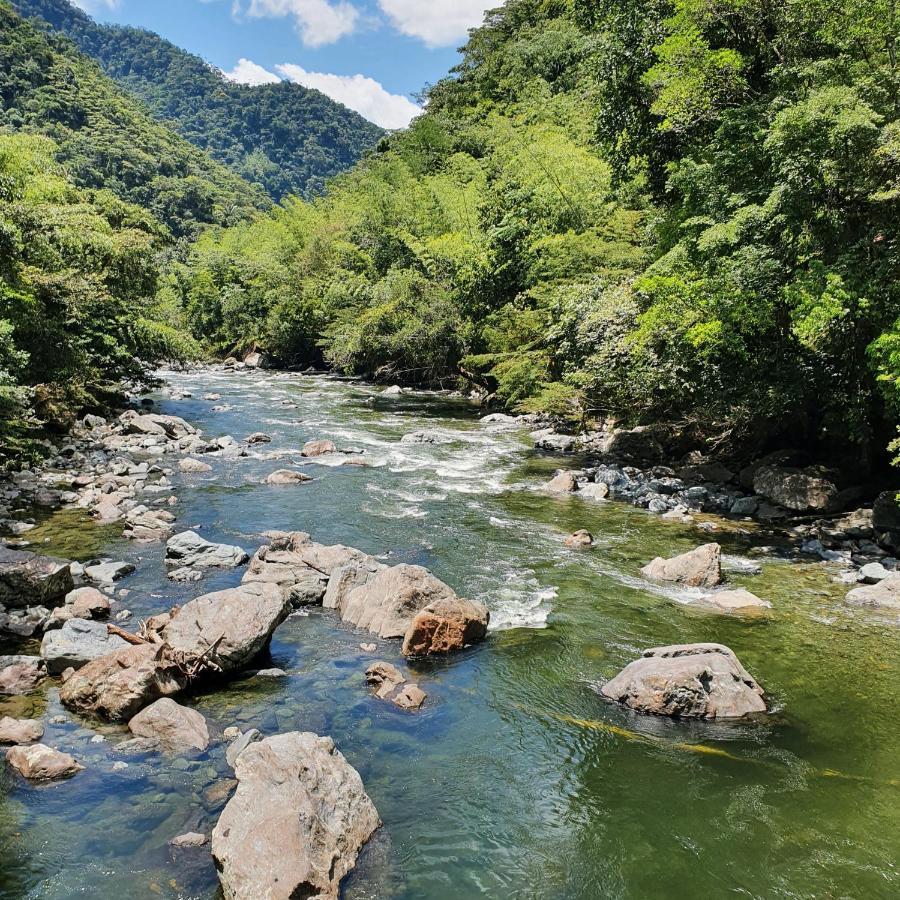 Ecofinca Fuente Alegre Cocorna Εξωτερικό φωτογραφία