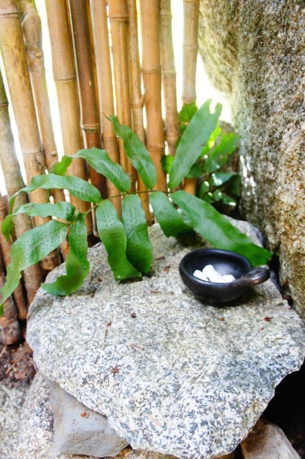 Ecofinca Fuente Alegre Cocorna Εξωτερικό φωτογραφία