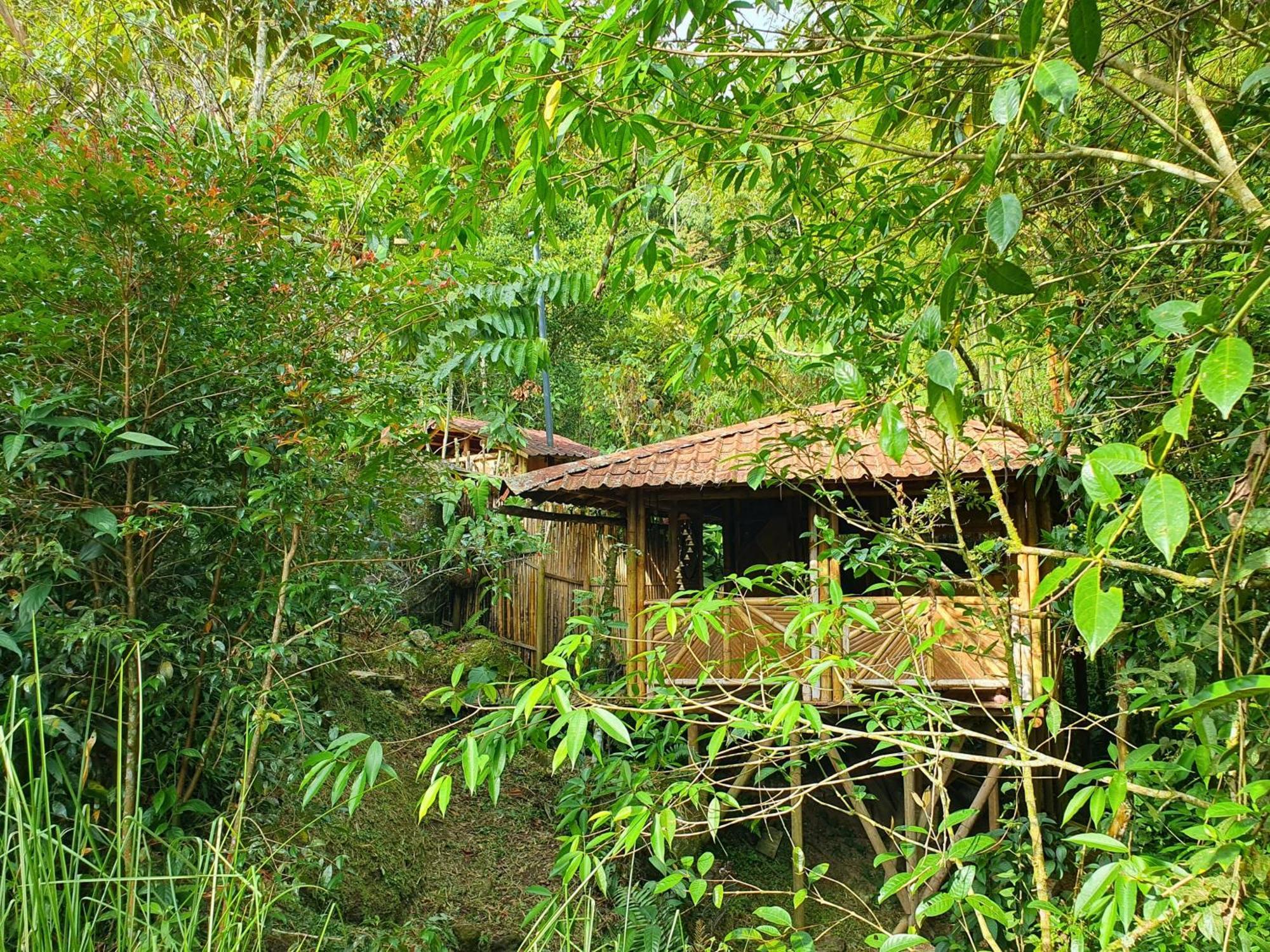 Ecofinca Fuente Alegre Cocorna Δωμάτιο φωτογραφία