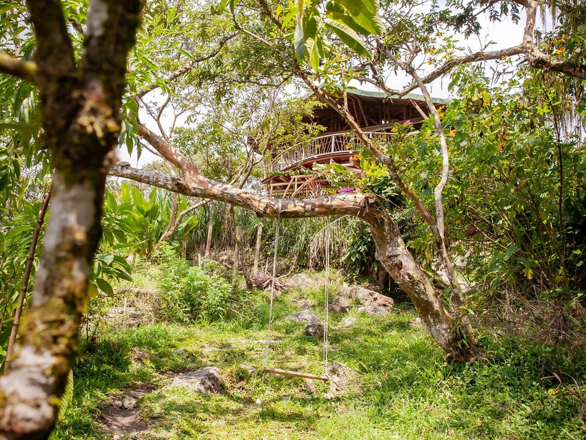 Ecofinca Fuente Alegre Cocorna Εξωτερικό φωτογραφία