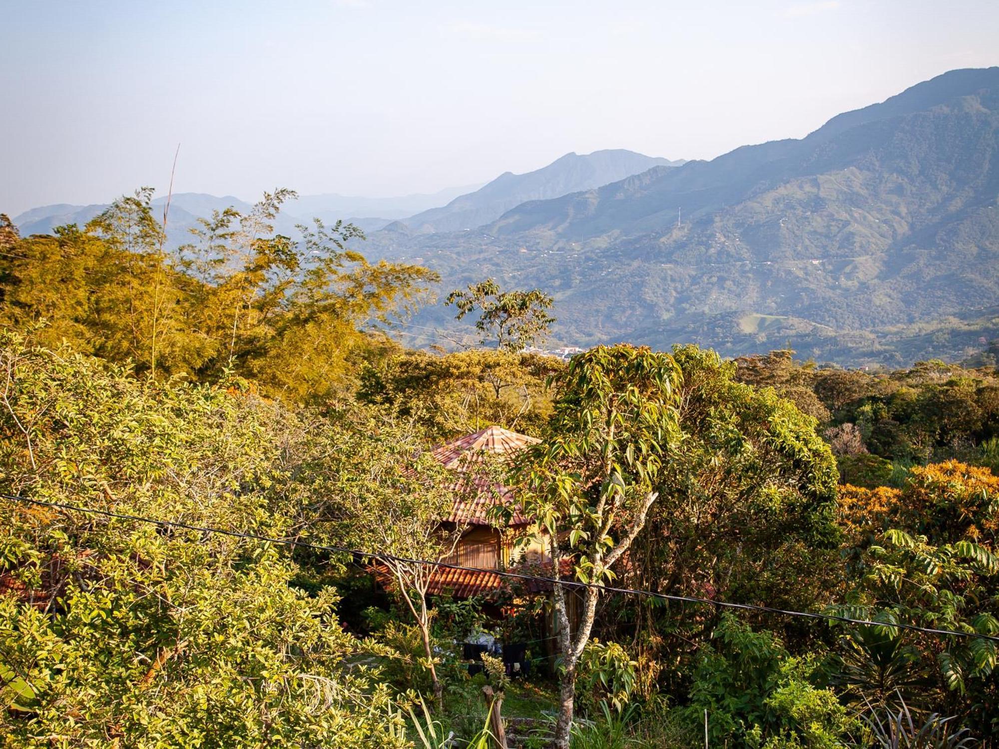Ecofinca Fuente Alegre Cocorna Εξωτερικό φωτογραφία